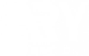 Ary Logo